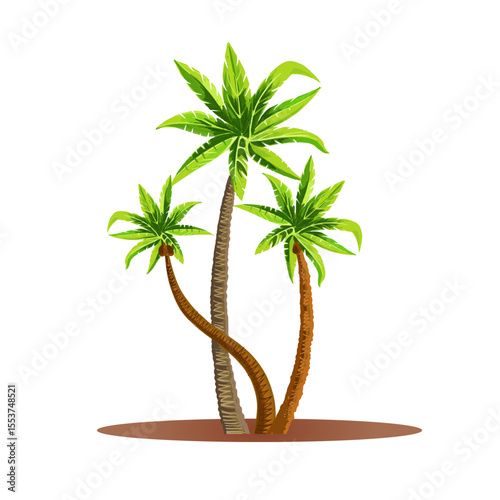 Palm tree vector illustration on white background showing tropical isolated design