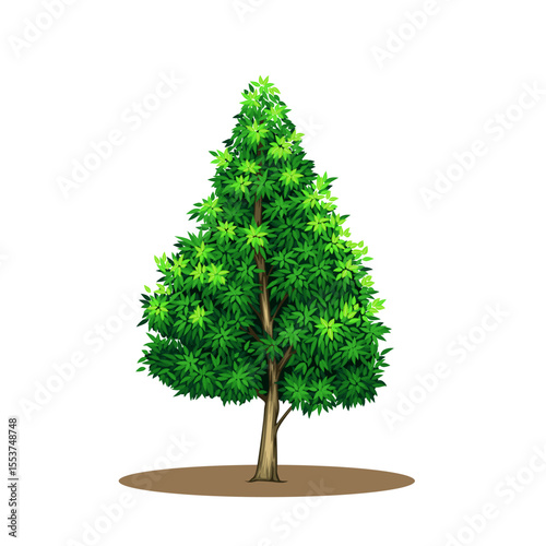 green tree isolated on white