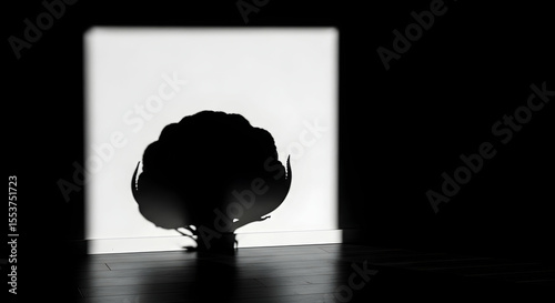Dramatic Broccoli Silhouette Contrasted Against White Backdrop In Dark Room