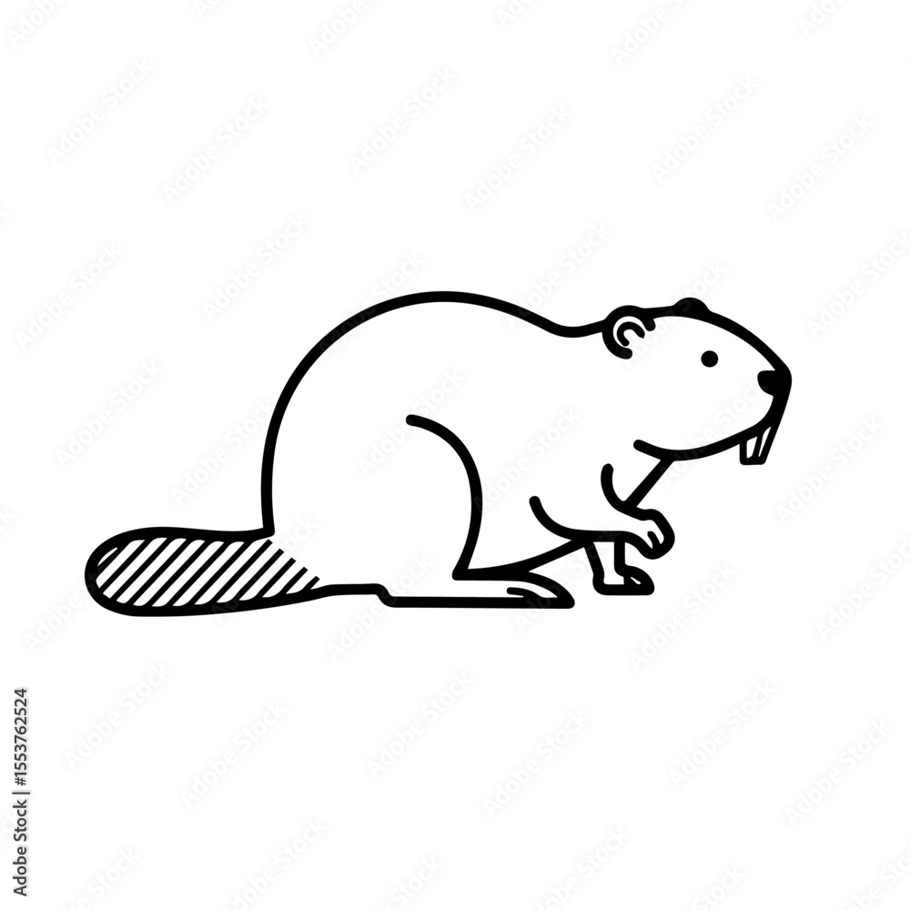 Fototapeta premium North American beaver Castor canadensis illustration. Detailed drawing of beaver, national symbol of Canada. Cute beaver image perfect for Canada Day celebrations, children's books,