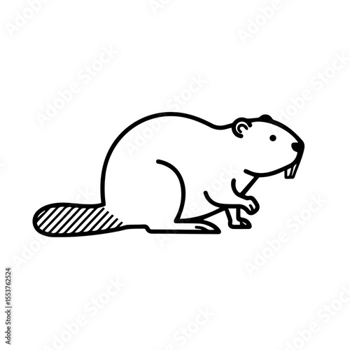 North American beaver Castor canadensis illustration. Detailed drawing of beaver, national symbol of Canada. Cute beaver image perfect for Canada Day celebrations, children's books,