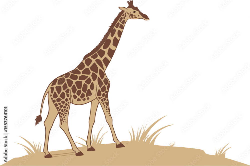 Fototapeta premium Giraffe Standing on White Background Illustration