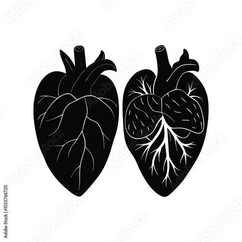 heart shaped leaf