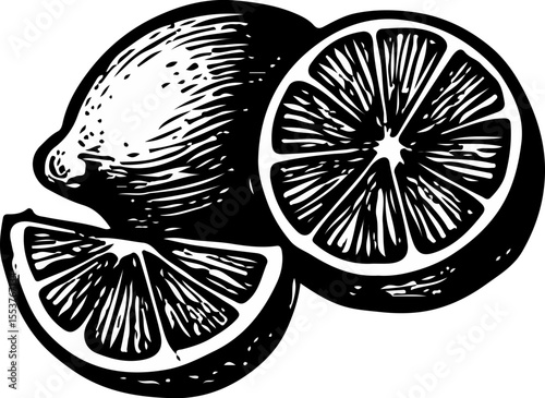 Detailed lemon slices and whole fruits, illustrated in a fresh, zesty composition for culinary theme
