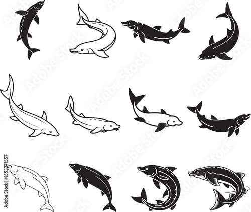 Twelve Black and White Sturgeon Fish Illustrations