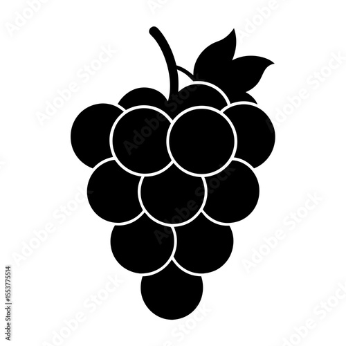 vector illustration of grapes