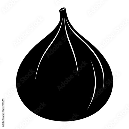 vector illustration of a fig