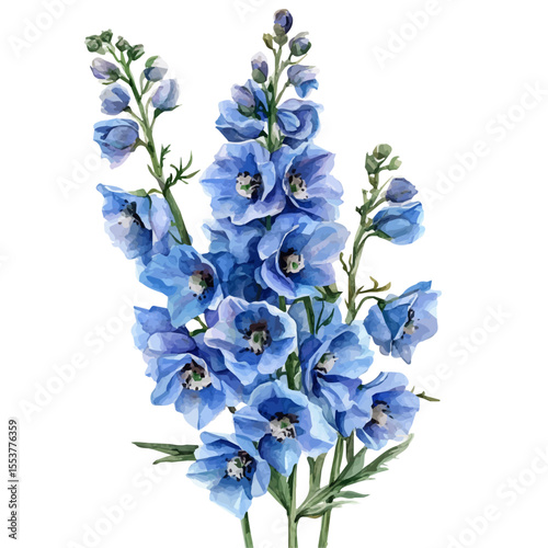 A Delphinium Bouquet, watercolor illustration vector, isolated on a white background.