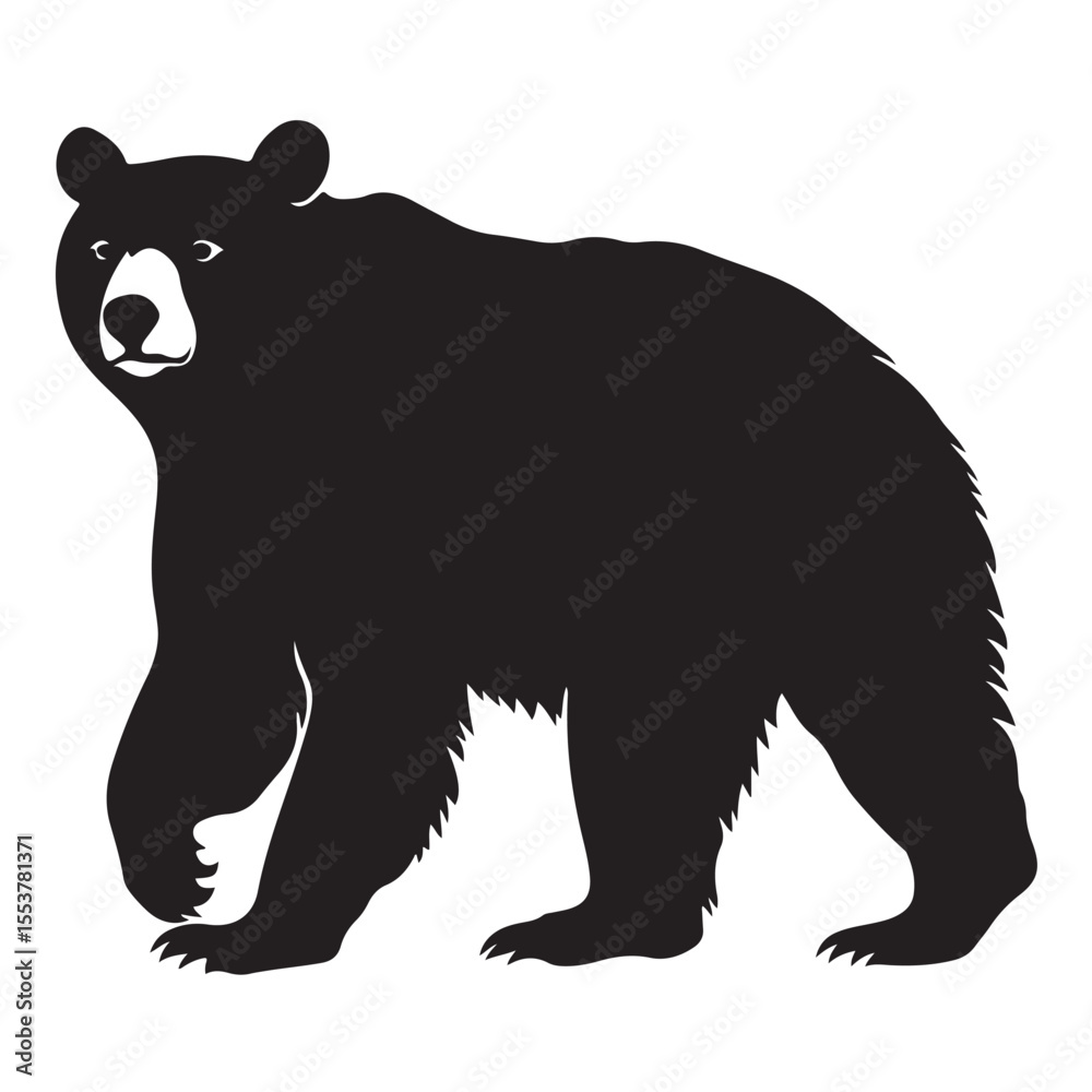 Obraz premium Black bear silhouette isolated on white 