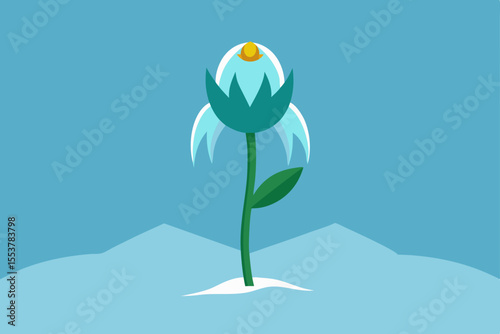 snowdrops in the snow