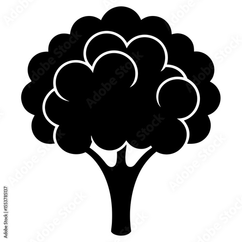 cauliflower floret on white background