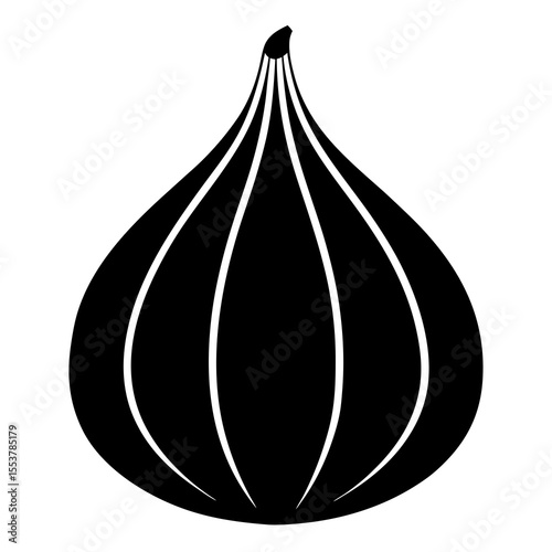 vector illustration of an onion