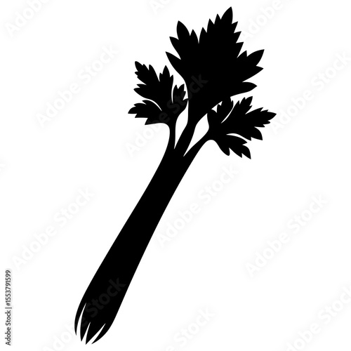 celery stalk on white background