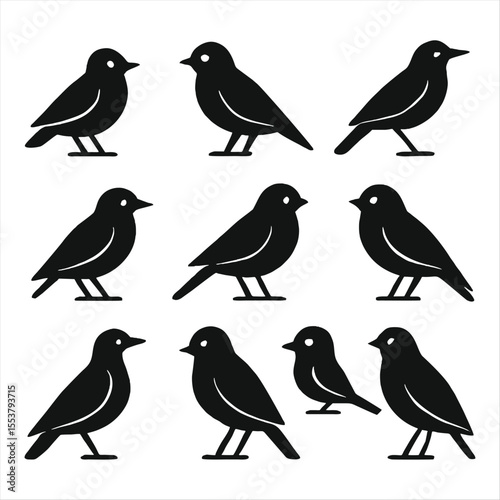 Birds Black icons set