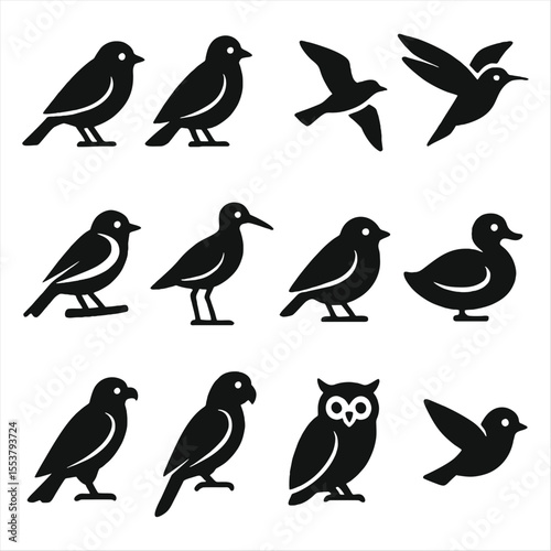 Birds Black icons set