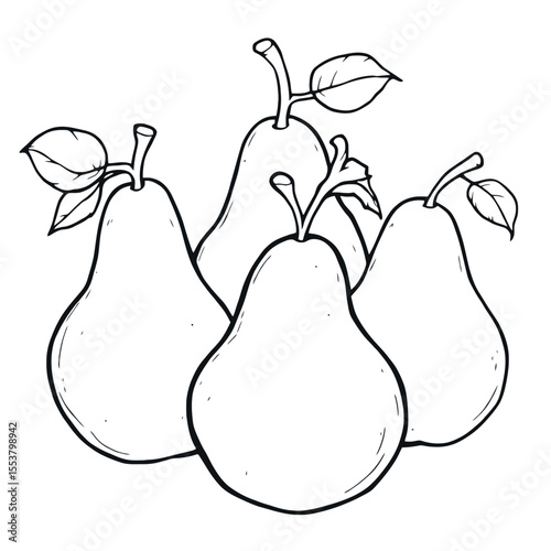 Group of Five Pear Fruit Outline Drawing for Coloring Page Easy Simple Black and White Vector
