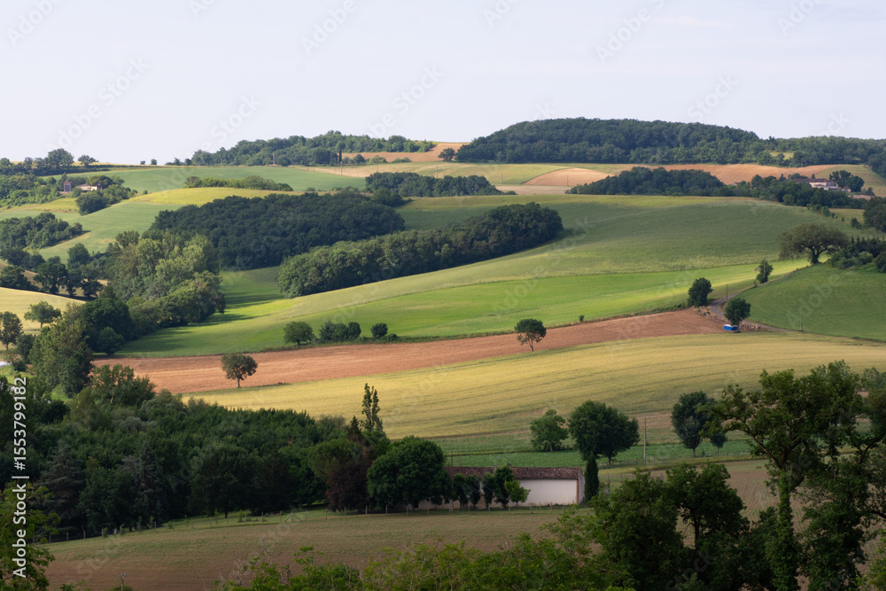 Paysage du Tarn (Pays de Cocagne) Paysage du Tarn (Pays de Cocagne)