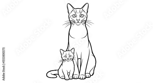 Cute mother cat and kitten sitting together showcasing tenderness and affection