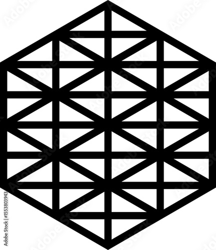 Polygon surrounded by thick lines and filled with straight internal lines extending in various directions.