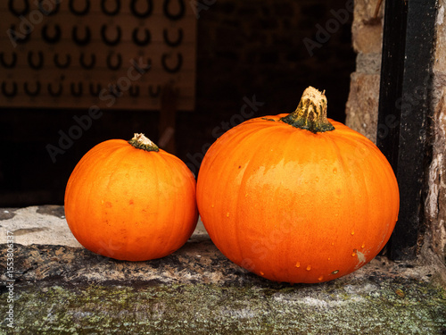 Two pumpkins are sitting on a stone wall. One is larger than the other. Scene is warm and inviting, as pumpkins are often associated with fall and harvest. Halloween celebrations custom.