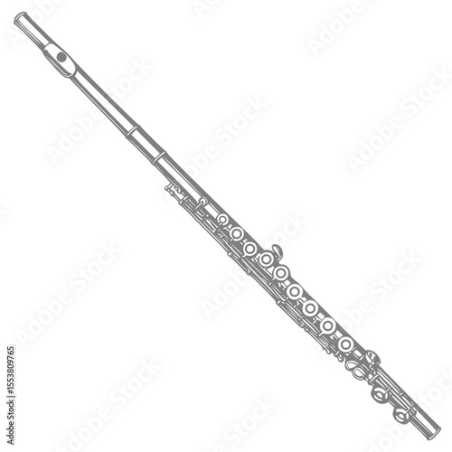 flute, western concert flute, woodwind instrument, orchestra, flutist, flautist, silver, illustration, vector, customizable, 