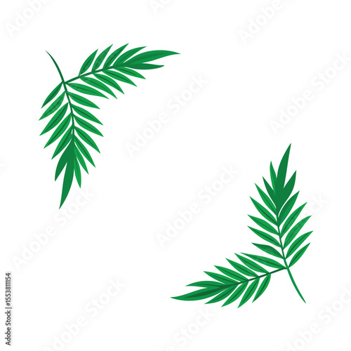 Tropical palm leaf pattern forming summer border Vector illustration