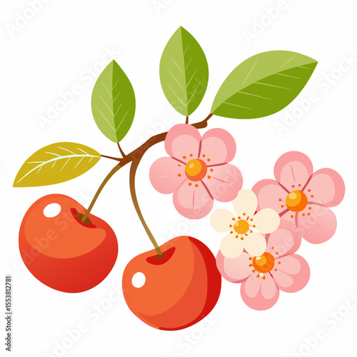cherry blossom branch