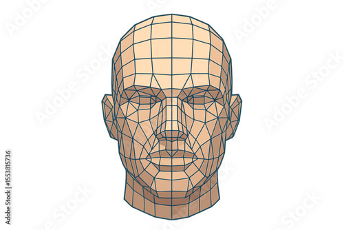 A 3D human head with low poly design, comprising a grid that forms the facial structure, symbolizing biometrics, facial recognition, and cyber security