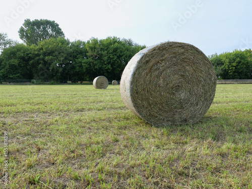 hay bales in lawn
