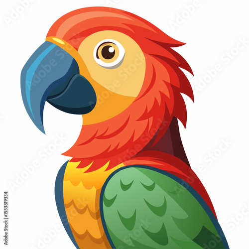 parrot on a white background