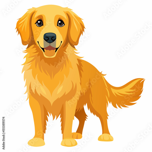 golden retriever dog
