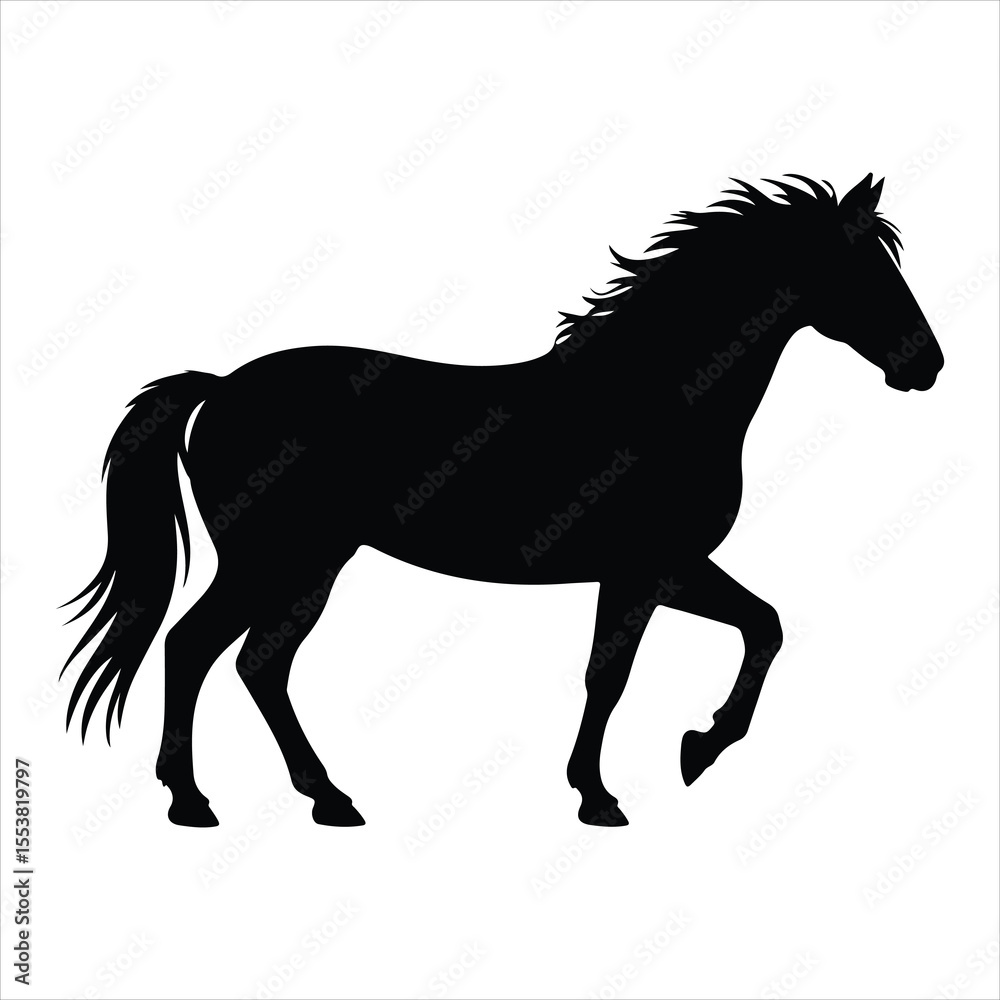 Obraz premium Black horse silhouette walks isolated on white background