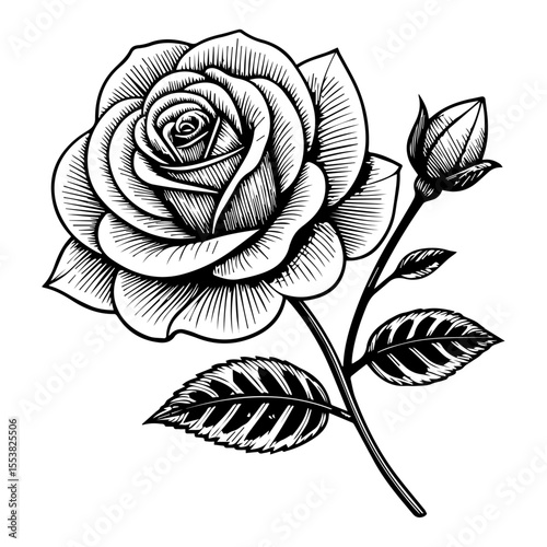 Artistic Black Ink Rose with Small Bud and Leaves - Minimalist Floral Vector Drawing