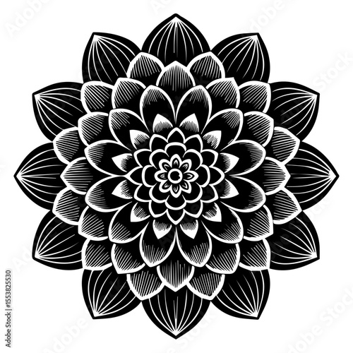 Intricate Black and White Floral Mandala Design - Detailed Botanical Geometric Pattern Vector