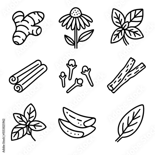 Healing Foods Icons. Outline style icons of Healing Foods and Herbs: turmeric root, echinacea flower, mint leaves, cinnamon sticks