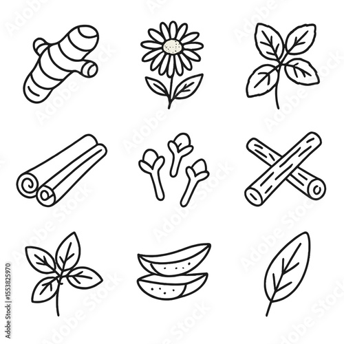 Healing Foods Icons. Outline style icons of Healing Foods and Herbs: turmeric root, echinacea flower, mint leaves, cinnamon sticks