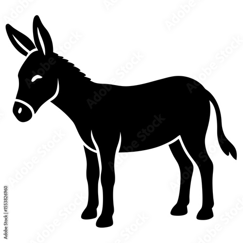 donkey isolated on white