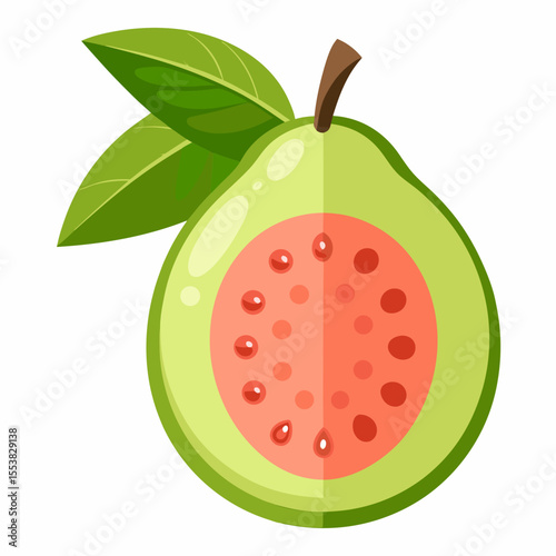 vector illustration of an apple