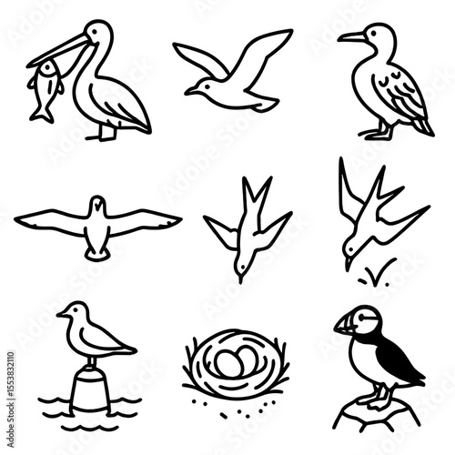 Sea Bird Icons. Outline style icons of Sea Birds: pelican with fish, flying gull, resting cormorant, albatross wingspan, tern dive