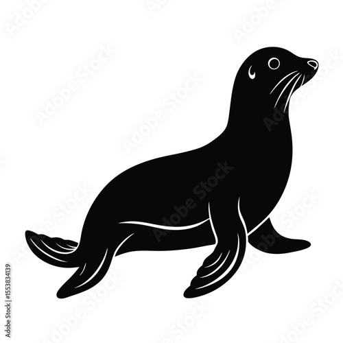 sea lion vector illustration