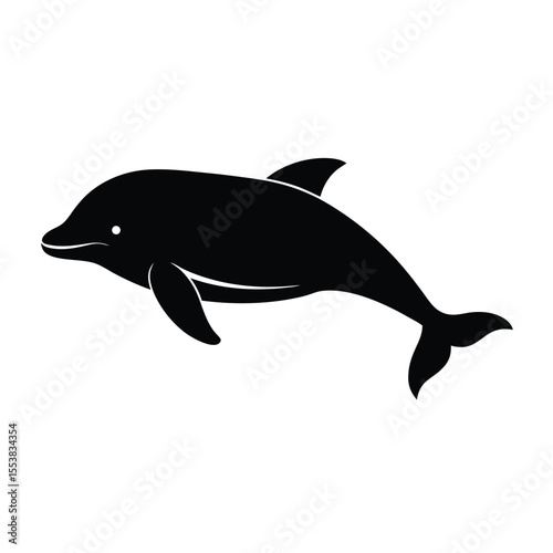 dolphin isolated on white background