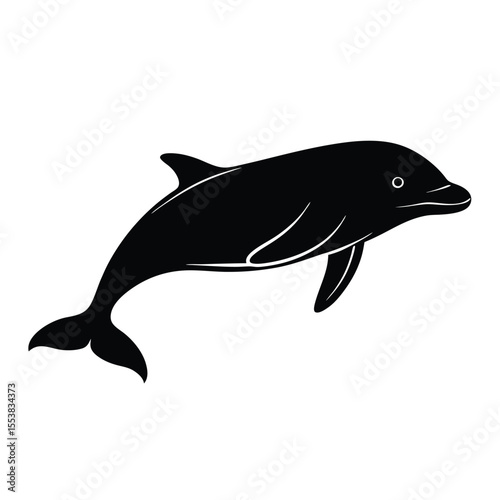 Beluga silhouette vector on white background