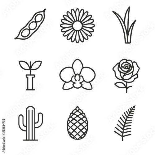 Botanical Icons Outline. Outline style icons of Botanical Families: fabaceae pod, asteraceae flower, poaceae leaf, orchidaceae