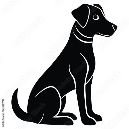 A dog sitting in profile with a sleek silhouette