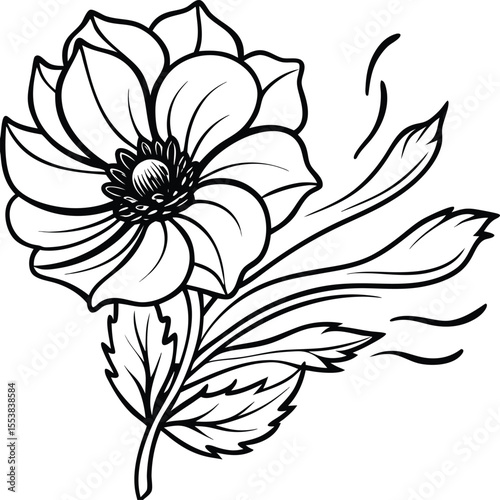 Delicate anemone flower gently swaying in a soft breeze isolated on white background isolated on transparent background