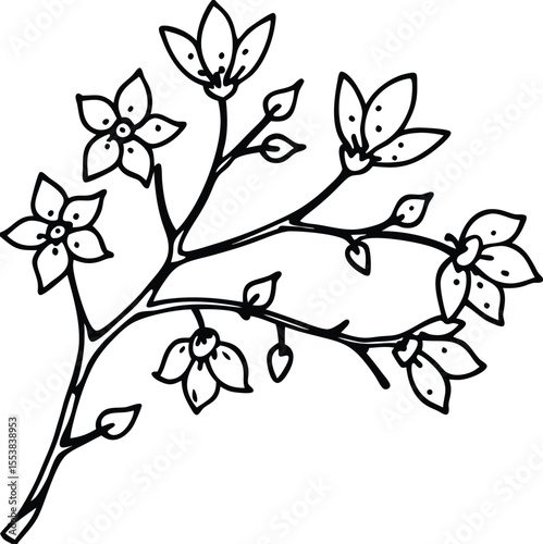 Delicate cherry blossom branch with falling raindrops isolated on white background isolated on transparent background