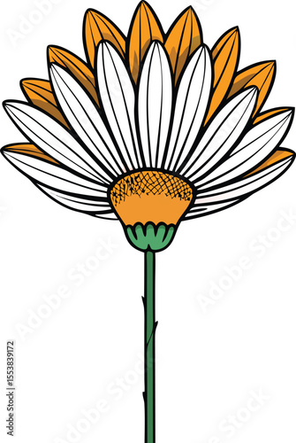 A single dried daisy flower elegantly hanging upside down from a thin string isolated on a crisp white background for design use isolated on white background isolated on transparent background