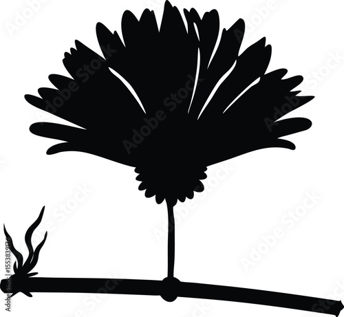 A delicate dried daisy flower gracefully suspended upside down by a thin string isolated on white background isolated on transparent background