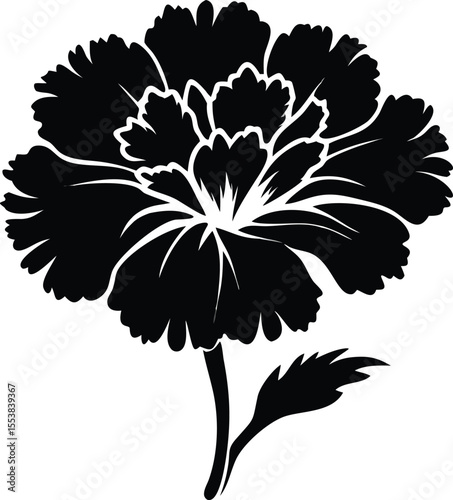 Vibrant marigold flower with delicate curled petal edges isolated on white background isolated on transparent background