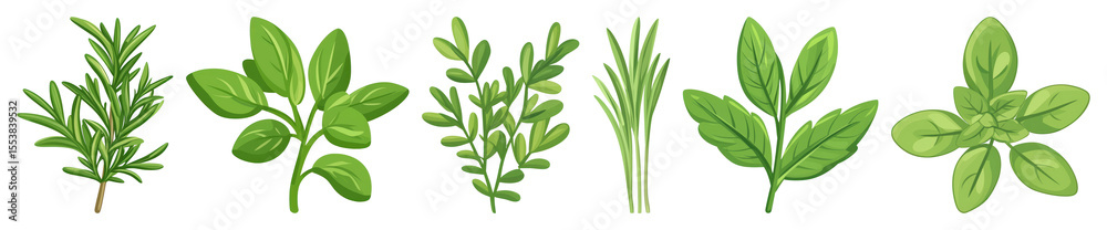 Fototapeta premium PNG Herbs illustration for culinary inspiration, element set on transparent background